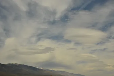 DSC_6581 (Large).JPG